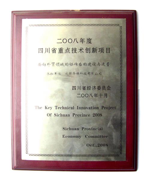 信息技术开发,服务外包,网络技