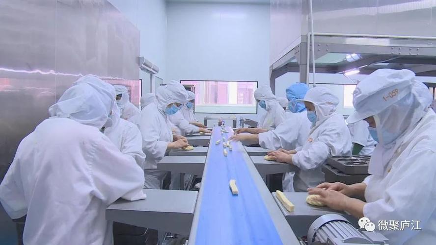 解密庐江智能工厂 数字化升级出实招，网络技术服务成关键引擎